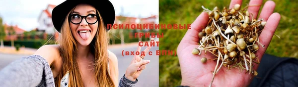 твердый Волоколамск
